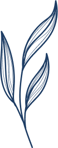 gestaltungselement_blume