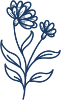 Blume-als-gestaltungselement